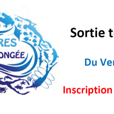 Sortie Fabrégas 2025